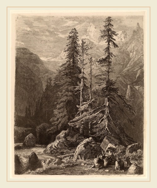 Alexandre Calame, Essais de gravure Ã  l'eau forte par Alexandre Calame, I, pl. 21, Swiss,