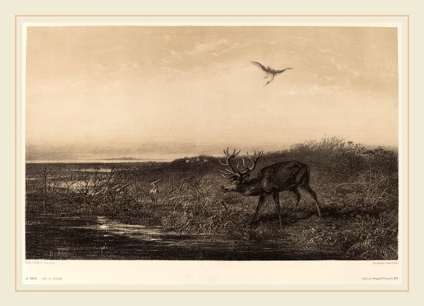 Karl Bodmer, Le Soir.  Cerf et Herons, Swiss, 1809-1893, chiaroscuro lithograph