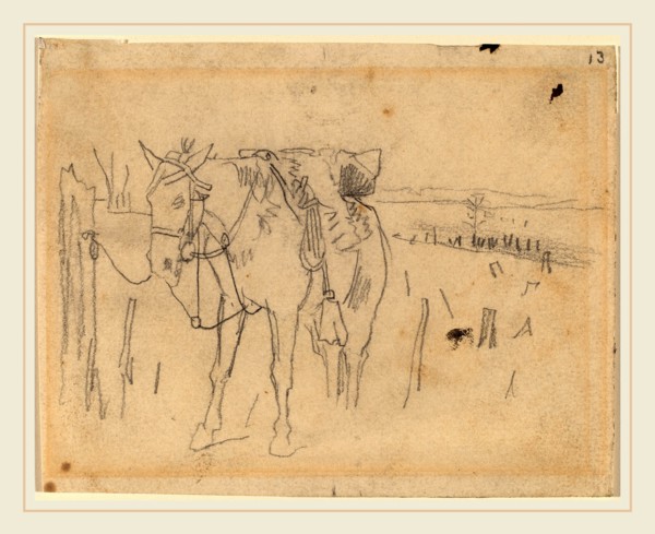 Winslow Homer, Tethered, American, 1836-1910, 1862-1865, graphite on wove paper
