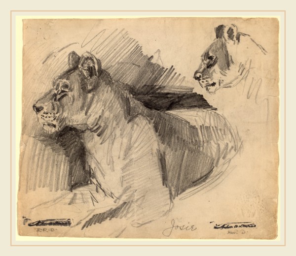 Arthur B. Davies, Josie, American, 1862-1928, 1892, graphite