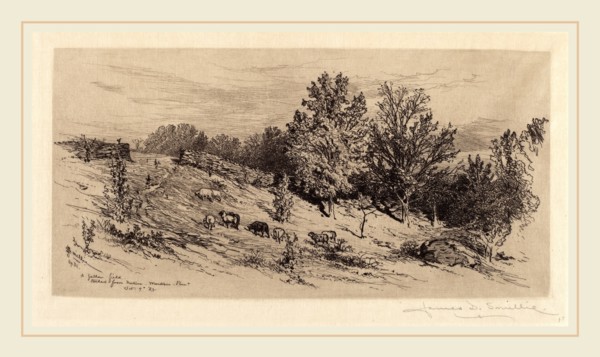 James David Smillie, A Fallow Field, American, 1833-1909, 1883, etching in black on Japan paper