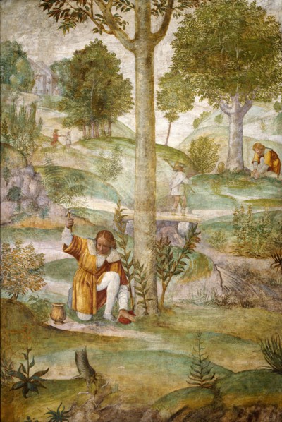 Bernardino Luini, Cephalus Hiding the Jewels, Italian, c. 1480-1532, c. 1520-1522, fresco
