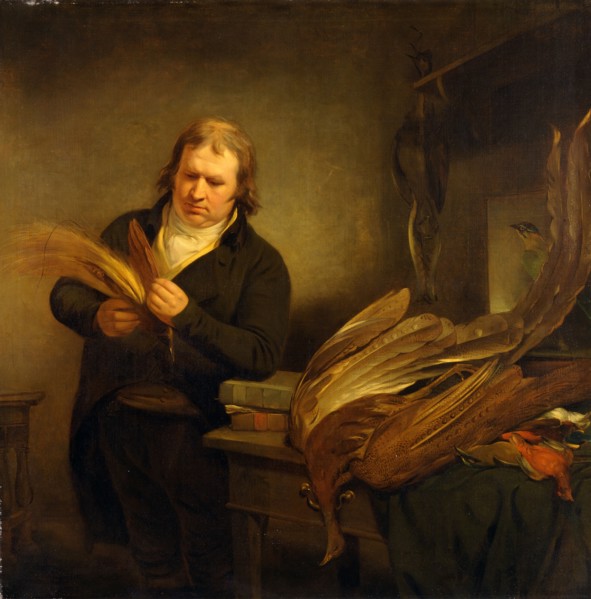 An Ornithologist, Probably John Latham An Ornithologist, Probably Mr. Thomson, Animal and Bird