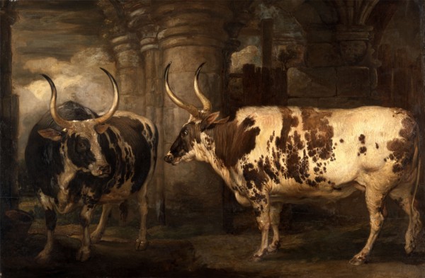 Portraits of two extraordinary oxen, the property of the Earl of Powis, James Ward, 1769-1859,