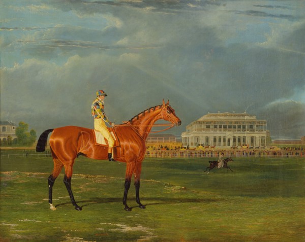 Memnon, with William Scott Up Memnon with William Scott Up on Doncaster Racecourse Memnon with W.