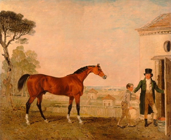 Sultan' at the Marquess of Exeter's Stud, Burghley House, Lambert Marshall, 1810-1870, British