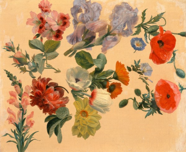 Studies of Summer Flowers, Jacques-Laurent Agasse, 1767-1849, Swiss
