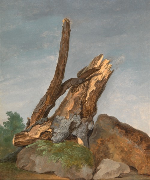 Study of Rocks and Branches, George Augustus Wallis, 1770-1847, British