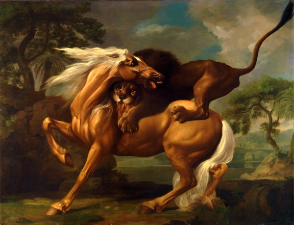 A Lion Attacking a Horse Horse Attacked by a Lion Lion devouring a horse Lion Attacking a Horse,