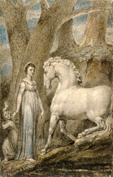 The Horse "The Horse", from "William Hayley's Ballads" Verso: [Engraved with foliage, grass, etc.,