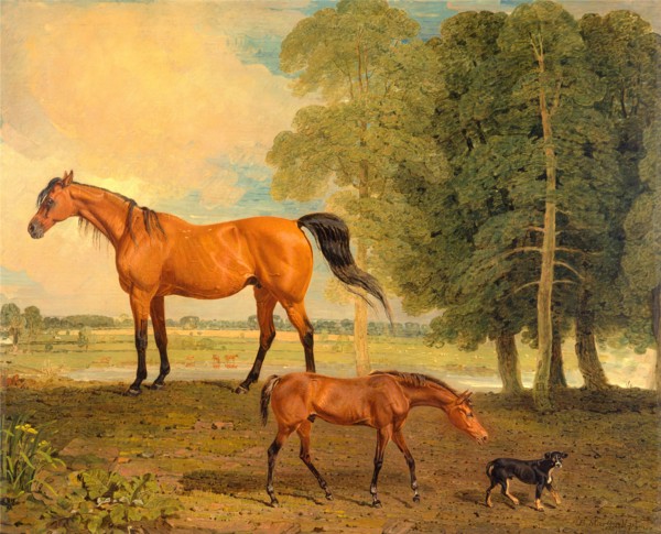 Broodmare with Foal, and a Terrier Broodmare with Foal and Terrier Near Newmarket: Broodmare with