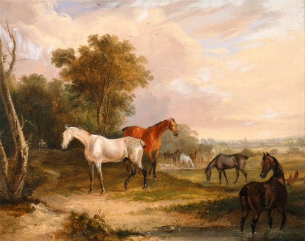 Horses Grazing: a Grey Stallion Grazing with Mares in a Meadow Mares and Foals Signed and dated in