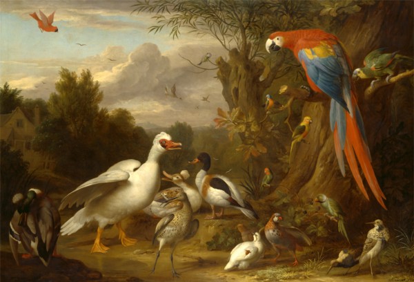 A Macaw, Ducks, Parrots and Other Birds in a Landscape Signed, lower left: "J. Bogdani", Jacob