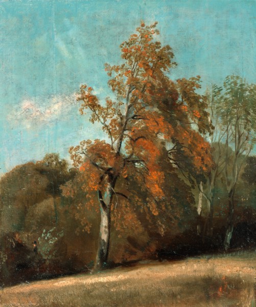 Study of an Ash Tree, John Constable, 1776-1837, British
