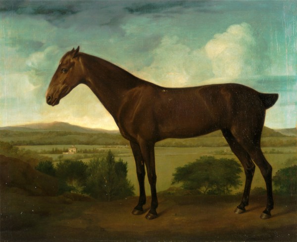 Brown Horse in a Hilly Landscape, unknown artist, 18th century, British