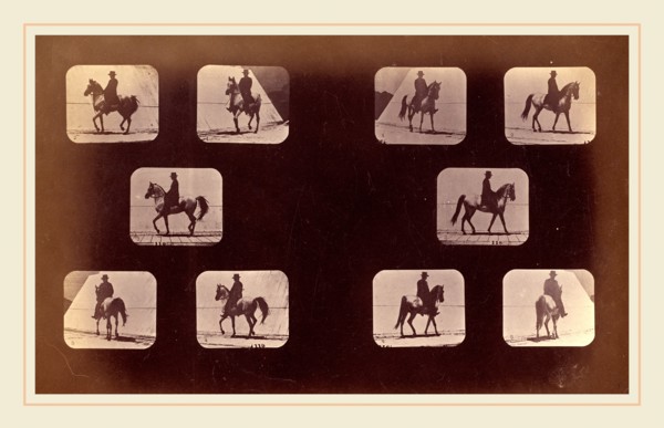 Eadweard Muybridge, American (born England, 1830-1904), Illustrations of the Paces Walking, Plate