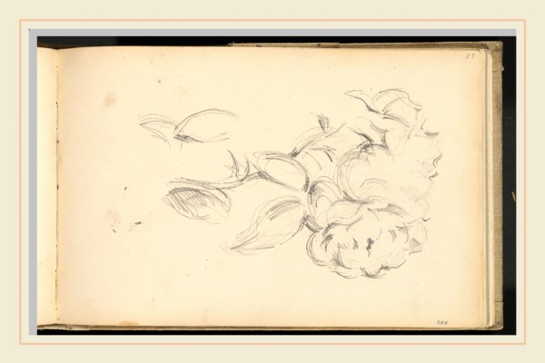 Paul Cézanne, Peonies, French, 1839-1906, 1890-1893, graphite on wove paper