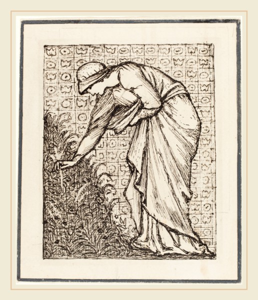Sir Edward Coley Burne-Jones, British (1833-1898), Lady Picking Flowers, pen and black ink over