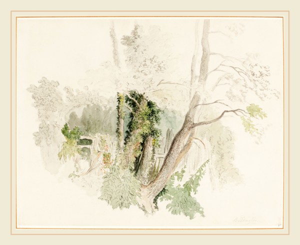 Robert Hills, British (1769-1844), Trees at Beddington, possibly c. 1805, graphite over watercolor
