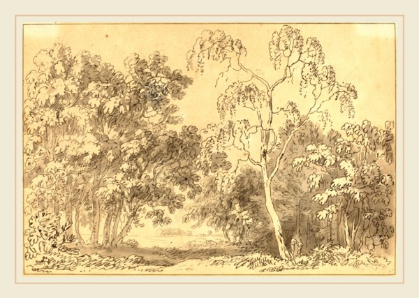 Anthony Devis, British (1729-1817), Wooded Landscape, pen and gray ink with gray wash over graphite