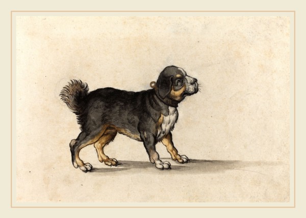 Jakob Walther, German (active 1584-1604), A Mastiff with a Gold-Tooled Collar, pen and black ink