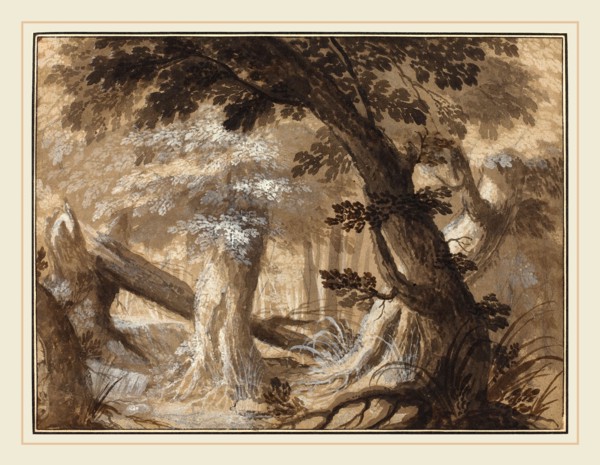 Flemish 17th century, Forest Interior, c. 1610, pen and brown ink and wash over graphite with white
