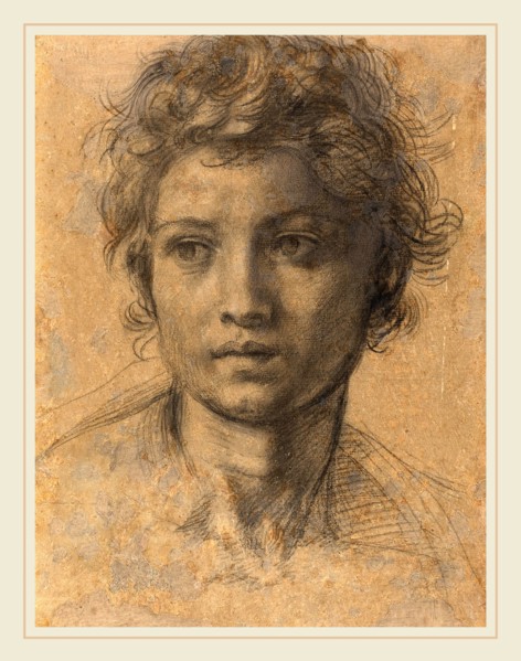 Andrea del Sarto, Italian (1486-1530), Head of Saint John the Baptist, c. 1523, black chalk on