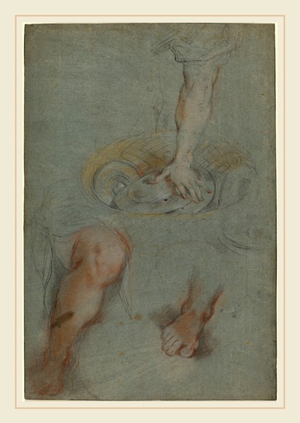 Federico Barocci, Italian (probably 1535-1612), Studies for a Servant in "The Last Supper", c.