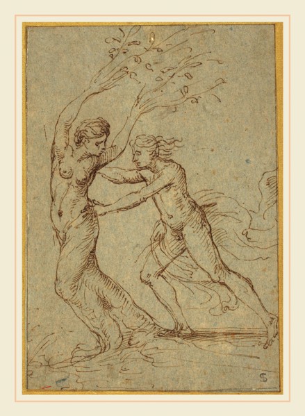 Giulio Romano, Italian (1499-1546), Apollo and Daphne, pen and brown ink on blue-gray laid paper