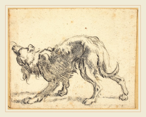 Herman Saftleven, Dutch (1609-1685), A Dog, black chalk with gray-brown wash on laid paper