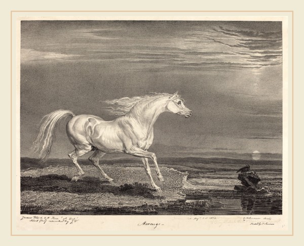 James Ward, British (1769-1859), Marengo, 1824, lithograph on chine applique