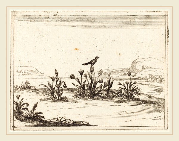 Jacques Callot, French (1592-1635), Bird Perched on a Thistle, 1628, etching