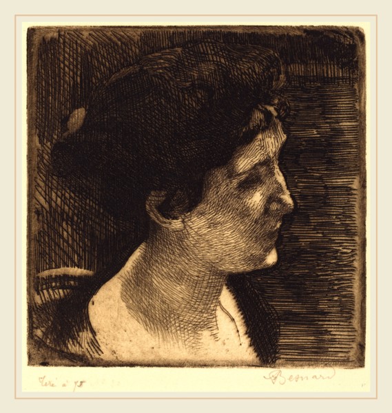 Albert Besnard, French (1849-1934), Woman in Full Profile (Grand profil de femme), 1892, etching in