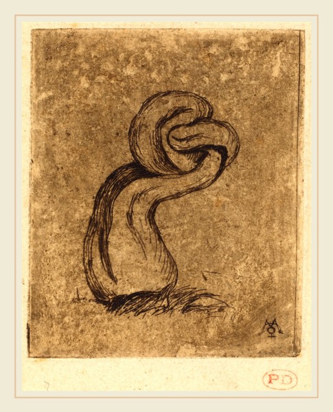 Charles Meryon, French (1821-1868), Le malingre cryptogame (The Sickly Cryptogam), 1860, etching