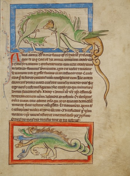A Hydrus,  A Hydra