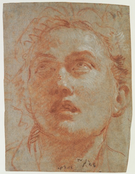 Head of a Man Looking Up