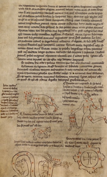 Constellation Diagrams