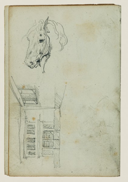Horse head, view of a courtyard