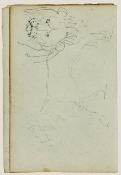 Lion walking, face of lion