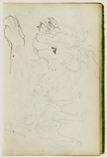 Lion studies