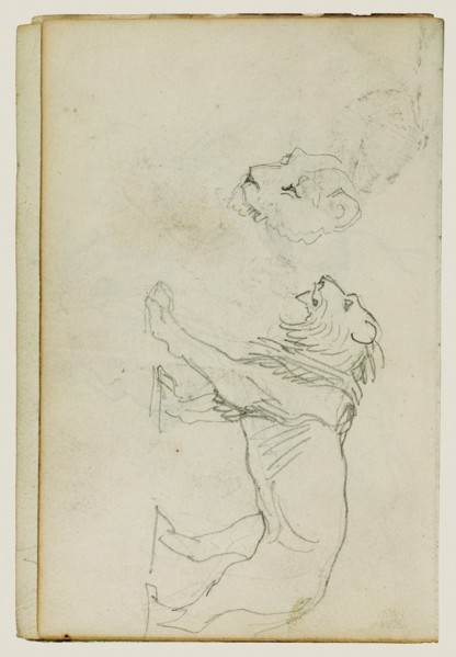 Lion walking, head of a lioness