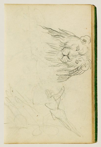 Head on view of seated lion