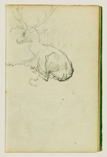 Seated Stag