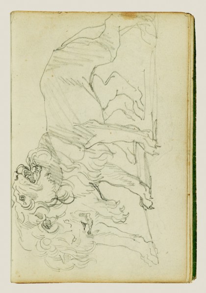 Pair of lions