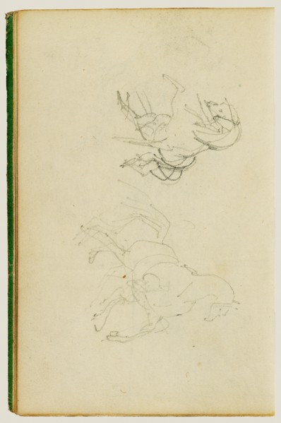 Two studies of a rearing horse