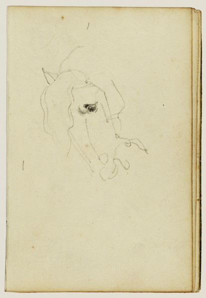 Horse head