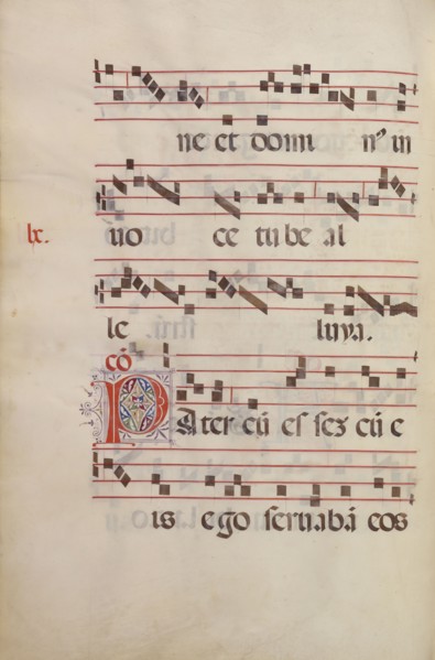 Decorated Initial P