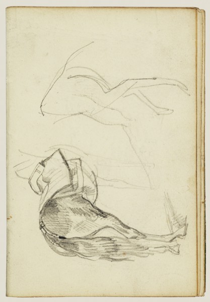 Horse Studies