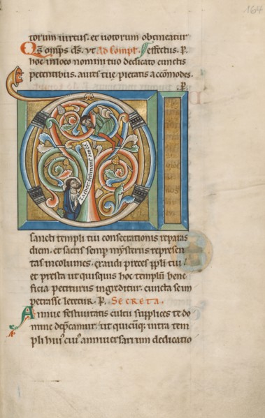 Initial D: Zacchaeus and Christ
