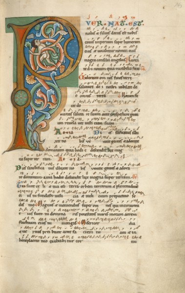 Inhabited Initial P
